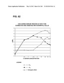 COMPOSITIONS AND METHODS FOR DEMONSTRATING SECRETORY IMMUNE SYSTEM     REGULATION OF STEROID HORMONE RESPONSIVE CANCER CELL GROWTH diagram and image