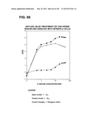 COMPOSITIONS AND METHODS FOR DEMONSTRATING SECRETORY IMMUNE SYSTEM     REGULATION OF STEROID HORMONE RESPONSIVE CANCER CELL GROWTH diagram and image