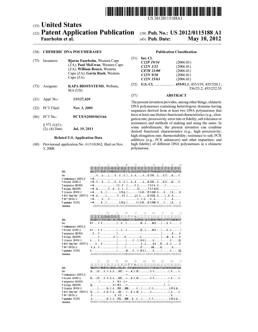 CHIMERIC DNA POLYMERASES - diagram, schematic, and image 01