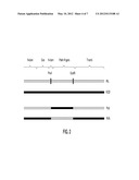 CHIMERIC DNA POLYMERASES diagram and image