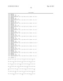 CHIMERIC DNA POLYMERASES diagram and image