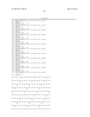 CHIMERIC DNA POLYMERASES diagram and image