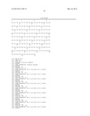 CHIMERIC DNA POLYMERASES diagram and image