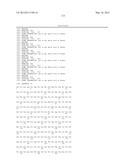 CHIMERIC DNA POLYMERASES diagram and image