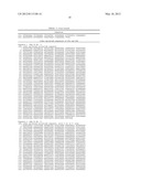 CHIMERIC DNA POLYMERASES diagram and image