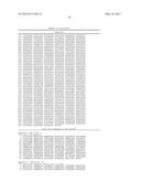 CHIMERIC DNA POLYMERASES diagram and image