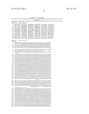 CHIMERIC DNA POLYMERASES diagram and image