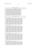 CHIMERIC DNA POLYMERASES diagram and image