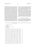 CHIMERIC DNA POLYMERASES diagram and image