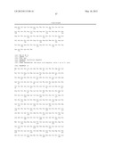 CHIMERIC DNA POLYMERASES diagram and image