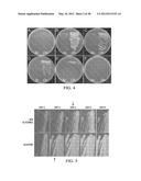 TRANSFORMATION OF GLYCEROL AND CELLULOSIC MATERIALS INTO HIGH ENERGY FUELS diagram and image