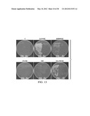 TRANSFORMATION OF GLYCEROL AND CELLULOSIC MATERIALS INTO HIGH ENERGY FUELS diagram and image