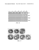 TRANSFORMATION OF GLYCEROL AND CELLULOSIC MATERIALS INTO HIGH ENERGY FUELS diagram and image