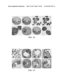 TRANSFORMATION OF GLYCEROL AND CELLULOSIC MATERIALS INTO HIGH ENERGY FUELS diagram and image