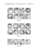 TRANSFORMATION OF GLYCEROL AND CELLULOSIC MATERIALS INTO HIGH ENERGY FUELS diagram and image