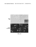 TRANSFORMATION OF GLYCEROL AND CELLULOSIC MATERIALS INTO HIGH ENERGY FUELS diagram and image