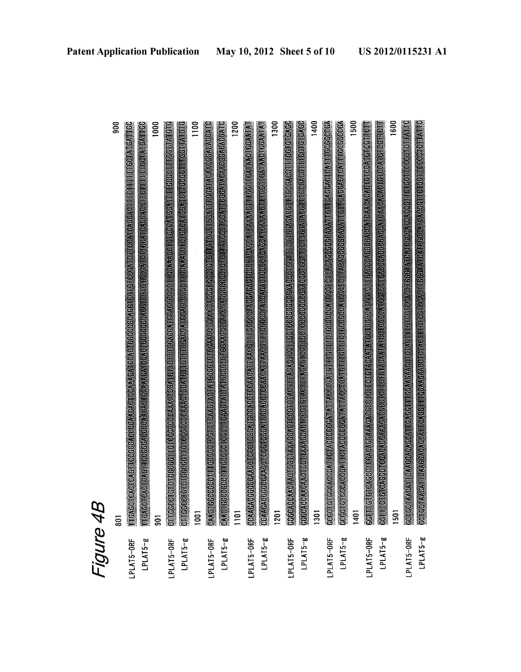 NOVEL LYSOPHOSPHOLIPID ACYLTRANSFERASE - diagram, schematic, and image 06