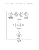 ENHANCED CELLULASE EXPRESSION IN S. DEGRADANS diagram and image