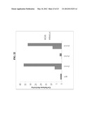 ENHANCED CELLULASE EXPRESSION IN S. DEGRADANS diagram and image