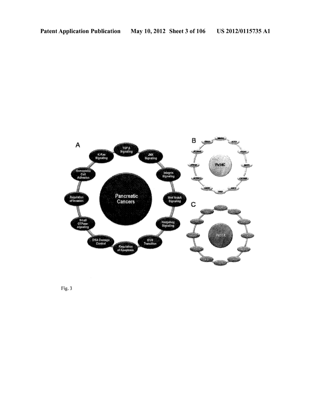 Pathways Underlying Pancreatic Tumorigenesis and an Hereditary Pancreatic     Cancer Gene - diagram, schematic, and image 04