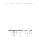 Pathways Underlying Pancreatic Tumorigenesis and an Hereditary Pancreatic     Cancer Gene diagram and image