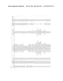 Pathways Underlying Pancreatic Tumorigenesis and an Hereditary Pancreatic     Cancer Gene diagram and image