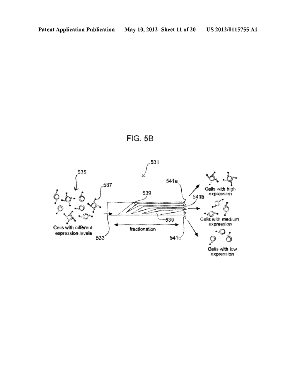 MICROFLUIDIC MAGNETOPHORETIC DEVICE AND METHODS FOR USING THE SAME - diagram, schematic, and image 12