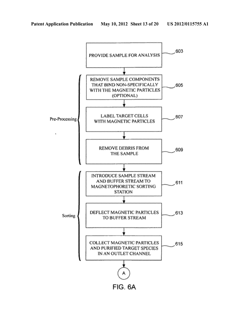 MICROFLUIDIC MAGNETOPHORETIC DEVICE AND METHODS FOR USING THE SAME - diagram, schematic, and image 14