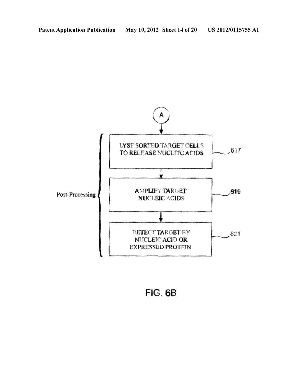 MICROFLUIDIC MAGNETOPHORETIC DEVICE AND METHODS FOR USING THE SAME - diagram, schematic, and image 15