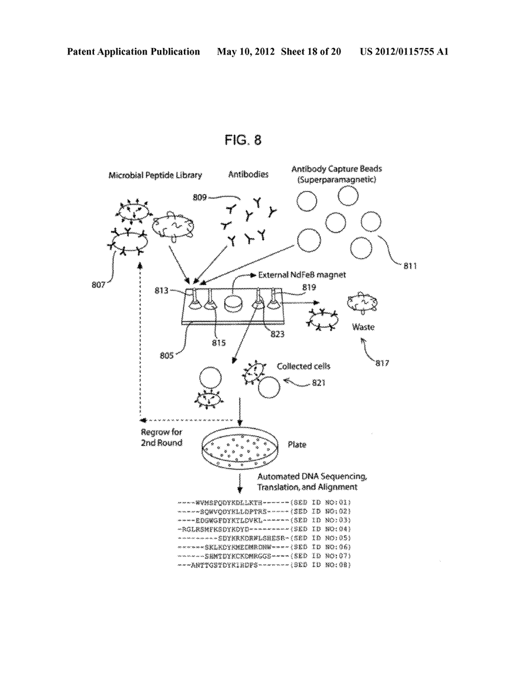 MICROFLUIDIC MAGNETOPHORETIC DEVICE AND METHODS FOR USING THE SAME - diagram, schematic, and image 19