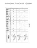 SYNTHESIS OF TETRACYCLINES AND INTERMEDIATES THERETO diagram and image