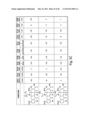 SYNTHESIS OF TETRACYCLINES AND INTERMEDIATES THERETO diagram and image