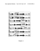 ISOGENIC HUMAN CELL LINES COMPRISING MUTATED CANCER ALLELES AND PROCESS     USING THE CELL LINES diagram and image