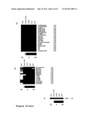 ISOGENIC HUMAN CELL LINES COMPRISING MUTATED CANCER ALLELES AND PROCESS     USING THE CELL LINES diagram and image