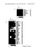 ISOGENIC HUMAN CELL LINES COMPRISING MUTATED CANCER ALLELES AND PROCESS     USING THE CELL LINES diagram and image