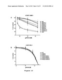 ISOGENIC HUMAN CELL LINES COMPRISING MUTATED CANCER ALLELES AND PROCESS     USING THE CELL LINES diagram and image