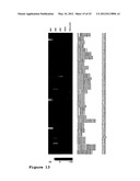 ISOGENIC HUMAN CELL LINES COMPRISING MUTATED CANCER ALLELES AND PROCESS     USING THE CELL LINES diagram and image