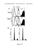 ISOGENIC HUMAN CELL LINES COMPRISING MUTATED CANCER ALLELES AND PROCESS     USING THE CELL LINES diagram and image