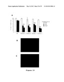 ISOGENIC HUMAN CELL LINES COMPRISING MUTATED CANCER ALLELES AND PROCESS     USING THE CELL LINES diagram and image