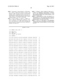 ISOGENIC HUMAN CELL LINES COMPRISING MUTATED CANCER ALLELES AND PROCESS     USING THE CELL LINES diagram and image