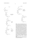 NOVEL COMPOUNDS AS INHIBITORS OF RENIN diagram and image