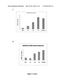 N,N -DIARYLUREA COMPOUNDS AND N,N -DIARYLTHIOUREA COMPOUNDS AS INHIBITORS     OF TRANSLATION INITIATION diagram and image