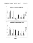 N,N -DIARYLUREA COMPOUNDS AND N,N -DIARYLTHIOUREA COMPOUNDS AS INHIBITORS     OF TRANSLATION INITIATION diagram and image