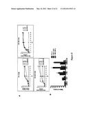 N,N -DIARYLUREA COMPOUNDS AND N,N -DIARYLTHIOUREA COMPOUNDS AS INHIBITORS     OF TRANSLATION INITIATION diagram and image