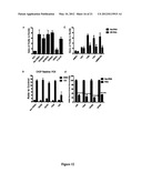 N,N -DIARYLUREA COMPOUNDS AND N,N -DIARYLTHIOUREA COMPOUNDS AS INHIBITORS     OF TRANSLATION INITIATION diagram and image