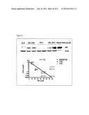 N,N -DIARYLUREA COMPOUNDS AND N,N -DIARYLTHIOUREA COMPOUNDS AS INHIBITORS     OF TRANSLATION INITIATION diagram and image