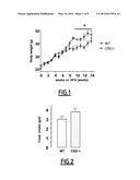 SELECTIVE INHIBITORS OF CB2 RECEPTOR EXPRESSION AND/OR ACTIVITY FOR THE     TREATMENT OF OBESITY AND OBESITY-RELATED DISORDERS diagram and image