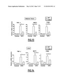 SELECTIVE INHIBITORS OF CB2 RECEPTOR EXPRESSION AND/OR ACTIVITY FOR THE     TREATMENT OF OBESITY AND OBESITY-RELATED DISORDERS diagram and image