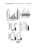 SELECTIVE INHIBITORS OF CB2 RECEPTOR EXPRESSION AND/OR ACTIVITY FOR THE     TREATMENT OF OBESITY AND OBESITY-RELATED DISORDERS diagram and image