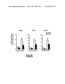 SELECTIVE INHIBITORS OF CB2 RECEPTOR EXPRESSION AND/OR ACTIVITY FOR THE     TREATMENT OF OBESITY AND OBESITY-RELATED DISORDERS diagram and image